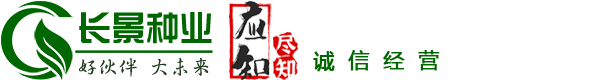 [長(cháng)景園林] 苗木(mù)批發基地-綠化公(gōng)司-提供苗木(mù)報價-品種名(míng)稱圖片查詢